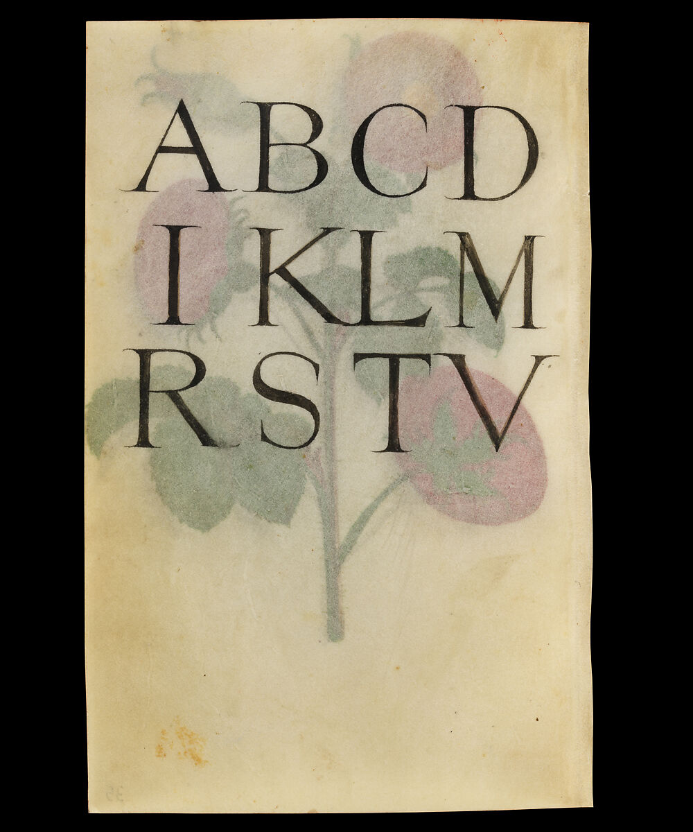 Book of Flower Studies, Master of Claude de France (active from ca.1508–1520), Opaque water color, organic glazes, gold and silver paint, iron and carbon-based ink and charcoal on parchment, French