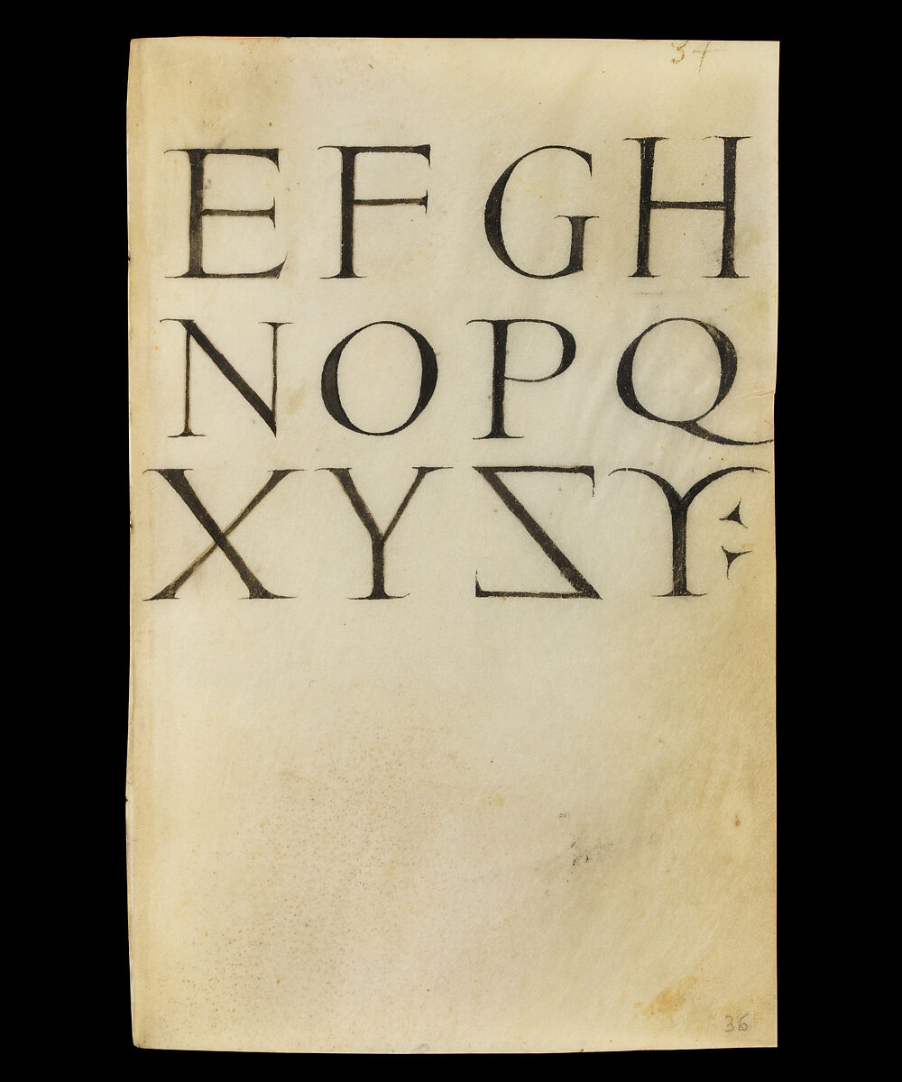 Book of Flower Studies, Master of Claude de France (active from ca.1508–1520), Opaque water color, organic glazes, gold and silver paint, iron and carbon-based ink and charcoal on parchment, French