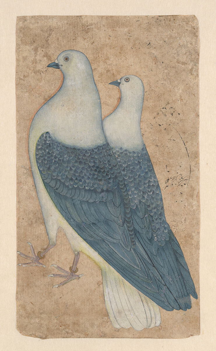Two Pigeons, Opaque color on paper
