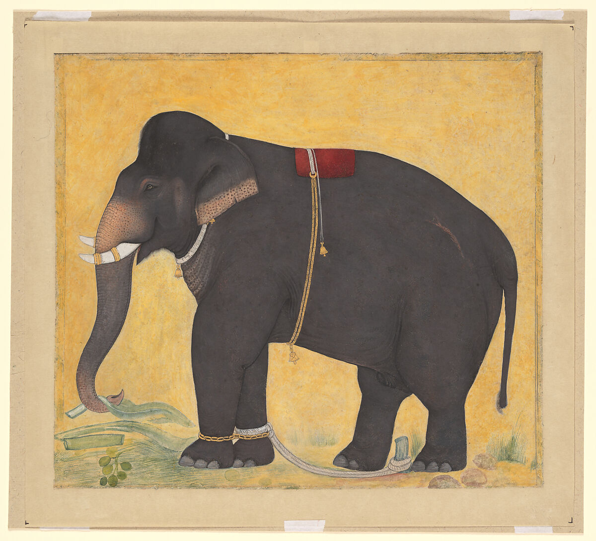 Young Elephant Eating, Opaque color and gold on paper