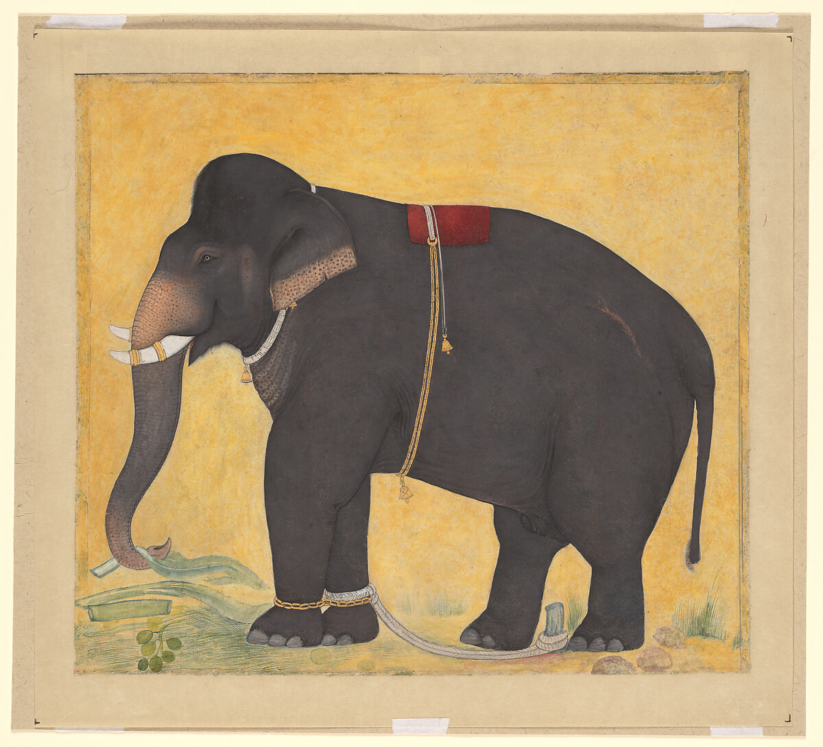 Young Elephant Eating, Opaque color and gold on paper 