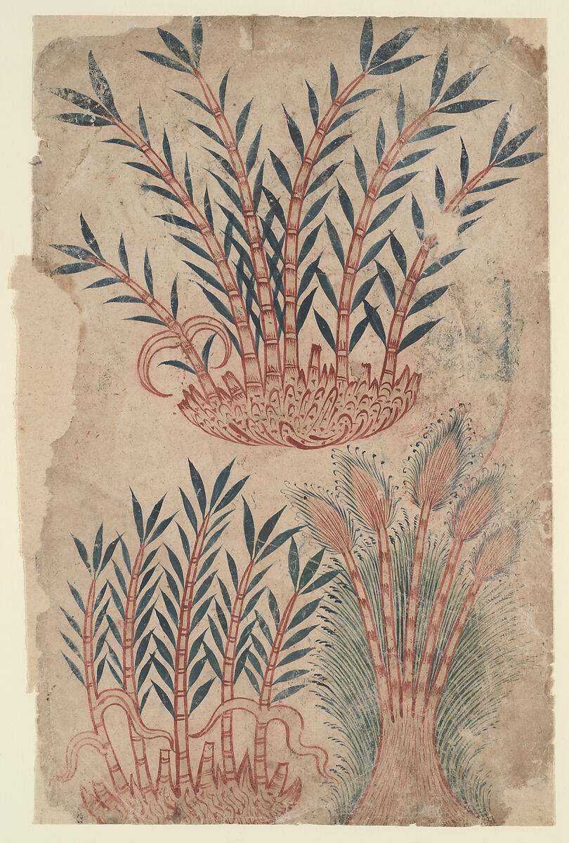 "Three Bamboo Plants," Folio from a De Materia Medica, Opaque color on paper 