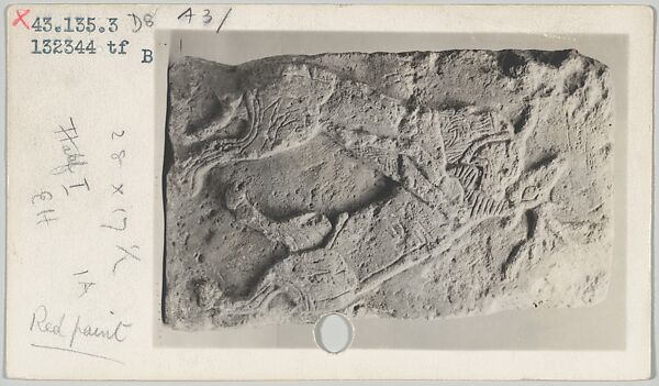 Catalogue cards of orthostat relief: lion attacking a deer, Card with ink, pencil and photograph 