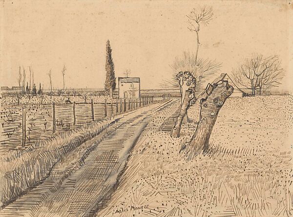 Van Gogh'S Cypresses - The Metropolitan Museum Of Art