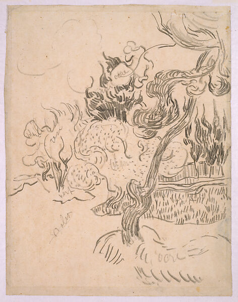 A Pine Tree and Cypresses in the Garden of the Asylum, Vincent van Gogh  Dutch, Pencil on wove paper
