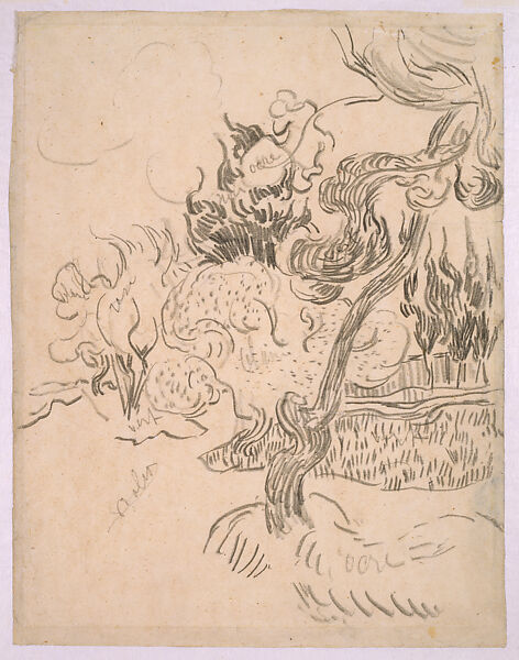 A Pine Tree and Cypresses in the Garden of the Asylum, Vincent van Gogh (Dutch, Zundert 1853–1890 Auvers-sur-Oise), Pencil on wove paper 