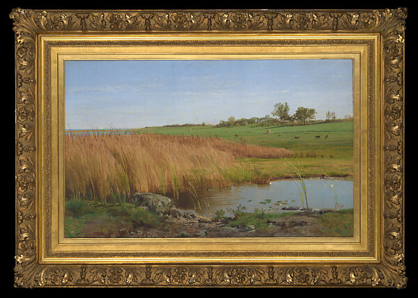 Rushes, Easton’s Pond, Newport, Rhode Island, William Trost Richards (American, Philadelphia, Pennsylvania 1833–1905 Newport, Rhode Island), Opaque watercolor on gray carpet paper, American 