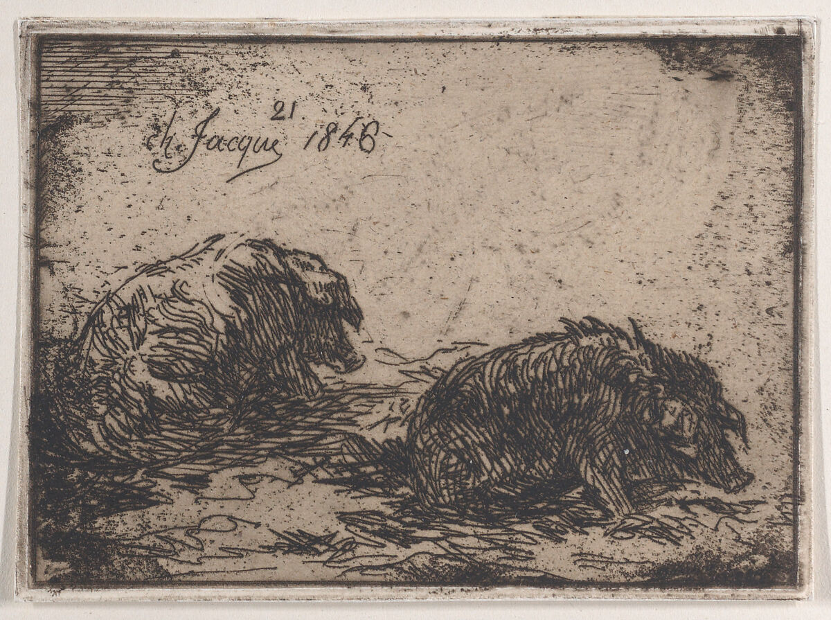 A Herd of Pigs, Charles Jacque (French, Paris 1813–1894 Paris), Etching, second state of two (Guiffrey)
