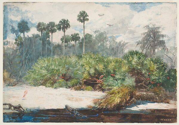 In a Florida Jungle, Winslow Homer (American, Boston, Massachusetts 1836–1910 Prouts Neck, Maine), Watercolor and graphite on wove paper, American 