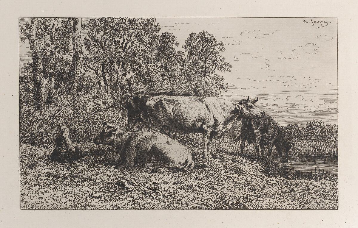 Dutch Cows, Charles Jacque (French, Paris 1813–1894 Paris), Etching 