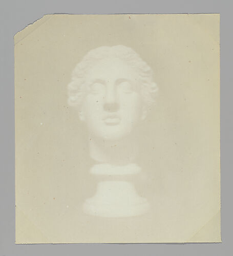 [Classical Head]