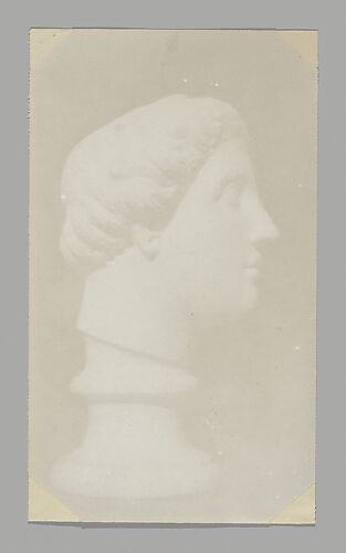 [Classical Head in Profile]