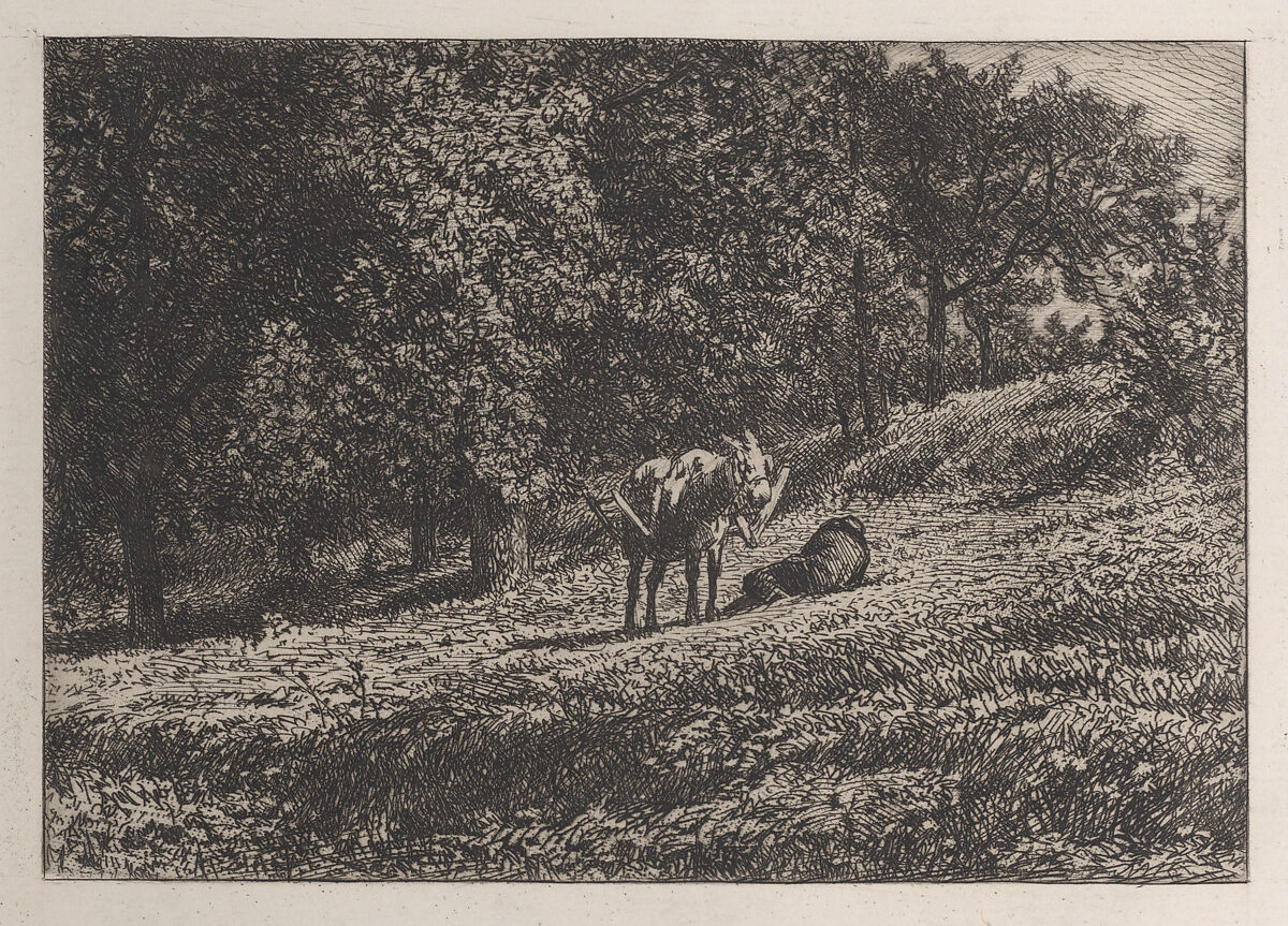Orchard, Charles Jacque (French, Paris 1813–1894 Paris), Etching