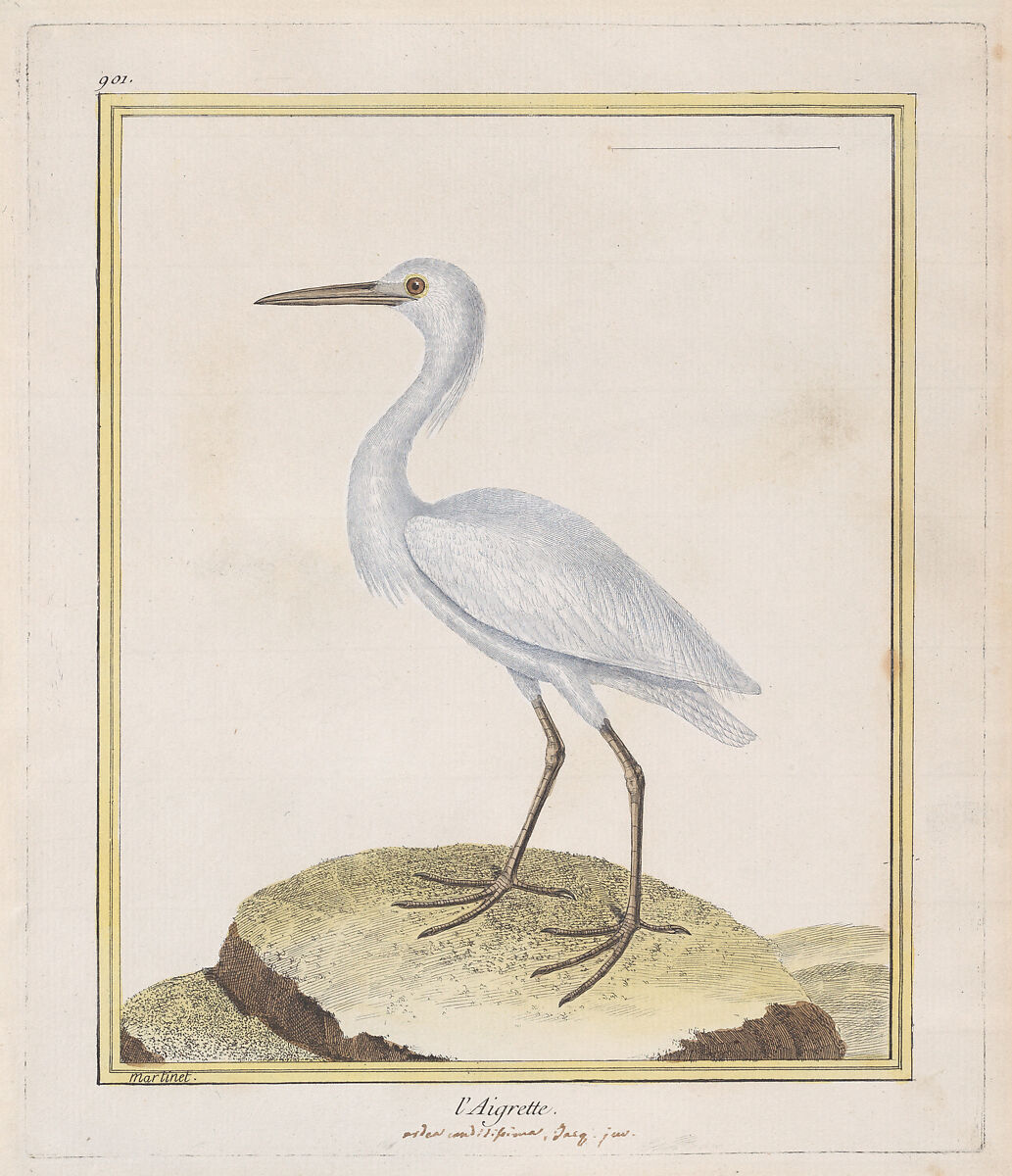 L'Aigrette (Egret), from "Histoire Naturelle de Oiseaux", François Nicolas Martinet (French, Paris 1731–ca. 1804), Hand-colored etching and engraving 