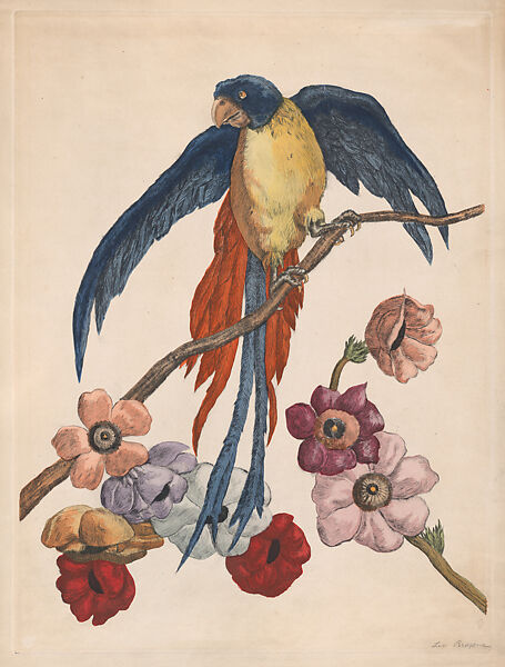 Parrot on a flowering branch, Leo Browne (American, active 1906–38), Hand-colored etching and engraving 