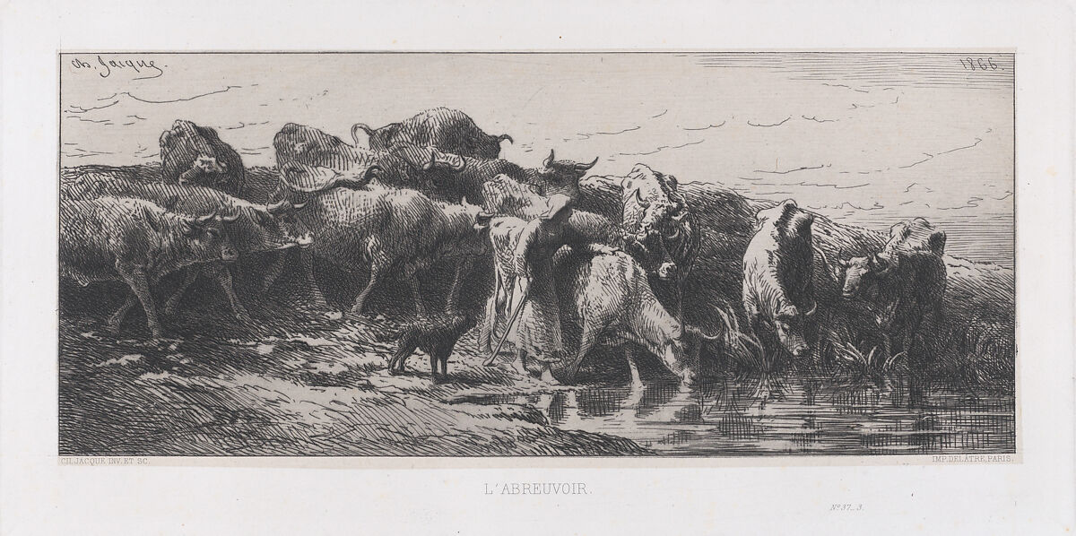 The Watering Hole, Charles Jacque (French, Paris 1813–1894 Paris), Etching 