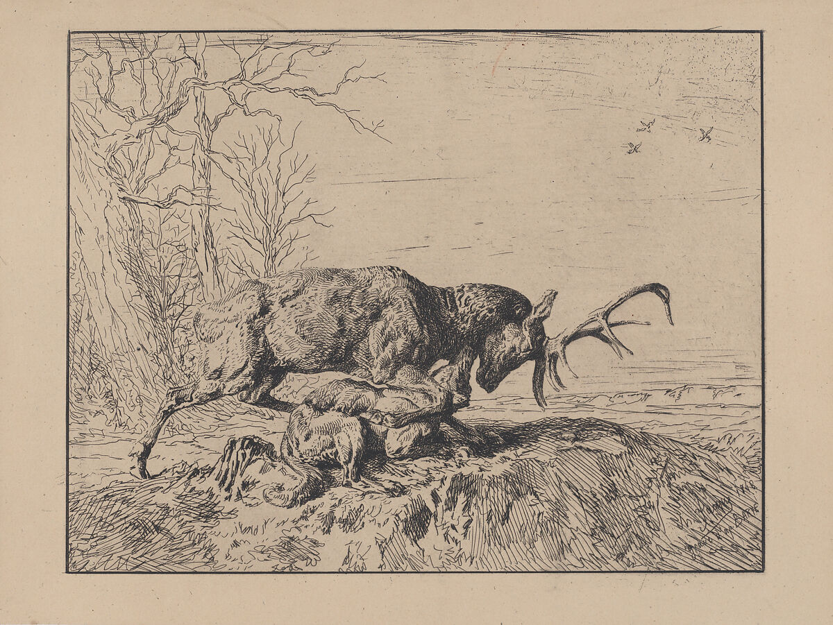 Stag Fighting a Wolf, after Antoine Louis Barye, Charles Jacque (French, Paris 1813–1894 Paris), Etching 
