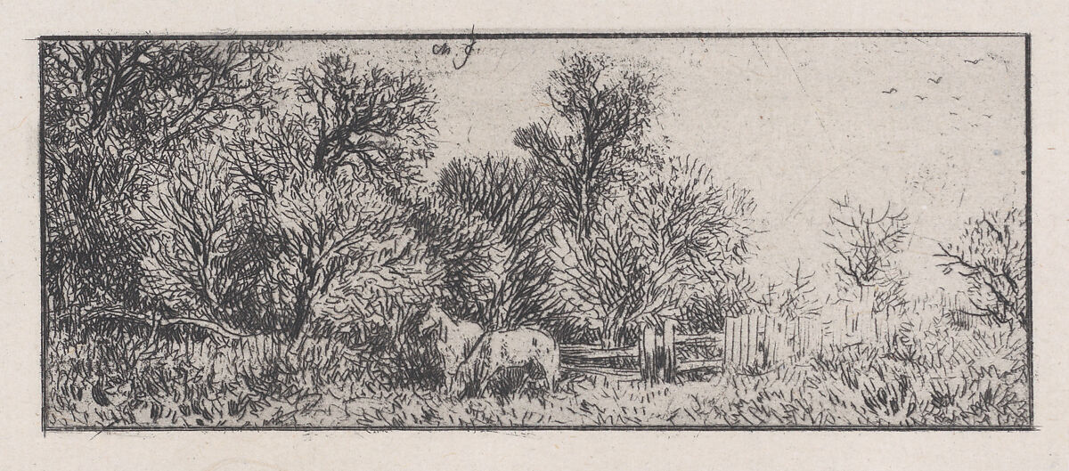 Landscape, Charles Jacque (French, Paris 1813–1894 Paris), Drypoint 