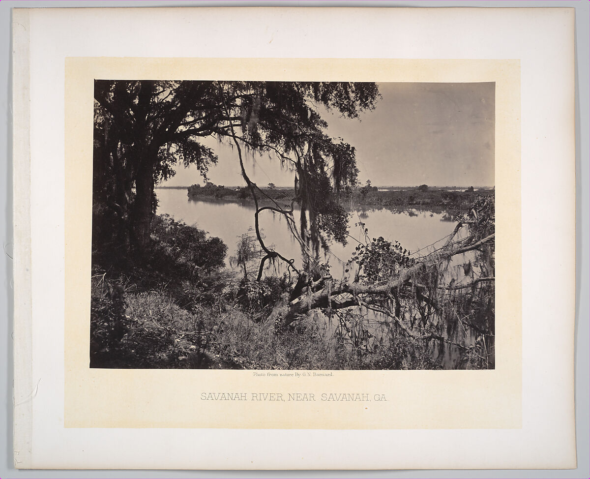 Savannah River, near Savannah, Georgia, George N. Barnard (American, 1819–1902), Albumen silver print from glass negative 