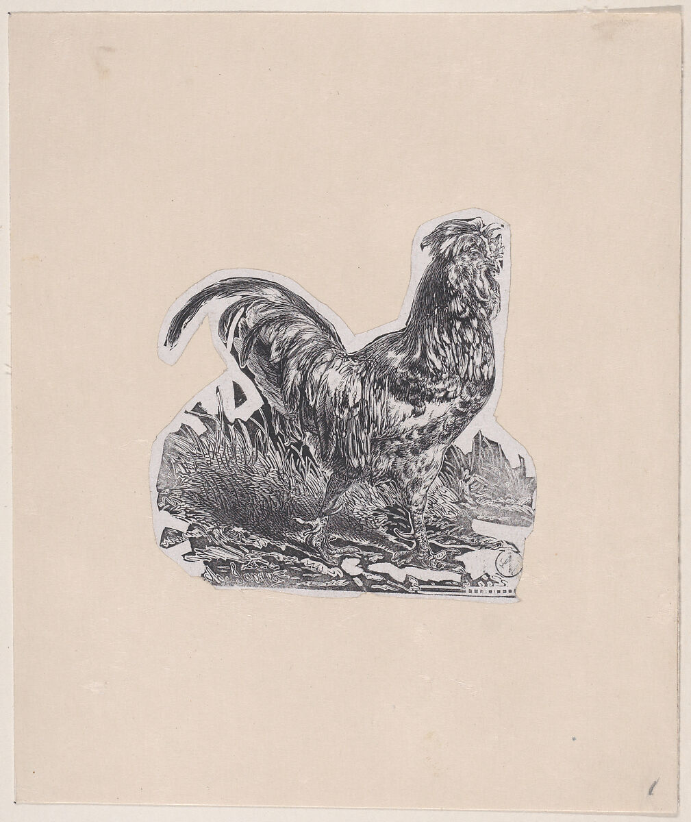 The Rooster, Charles Jacque (French, Paris 1813–1894 Paris), Wood engraving 