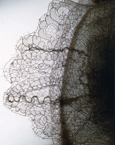 "Eugénie", House of Dior (French, founded 1946), (a, b) rayon, cotton, silk
(c) leather, French