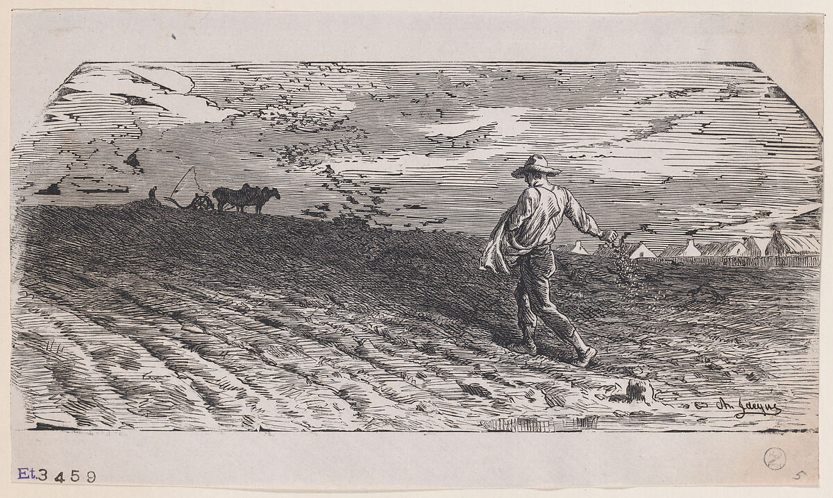 The Sower, Charles Jacque (French, Paris 1813–1894 Paris), Wood engraving 
