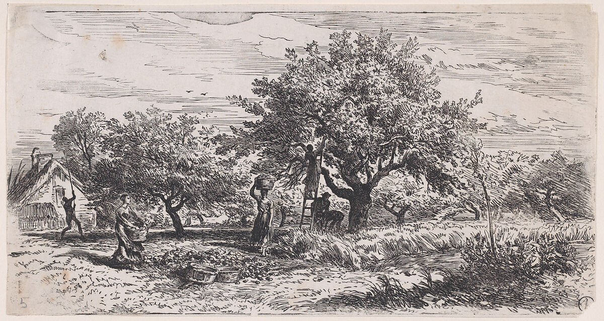 Picking fruit from tree outside cottage, Charles Jacque (French, Paris 1813–1894 Paris), Wood engraving 