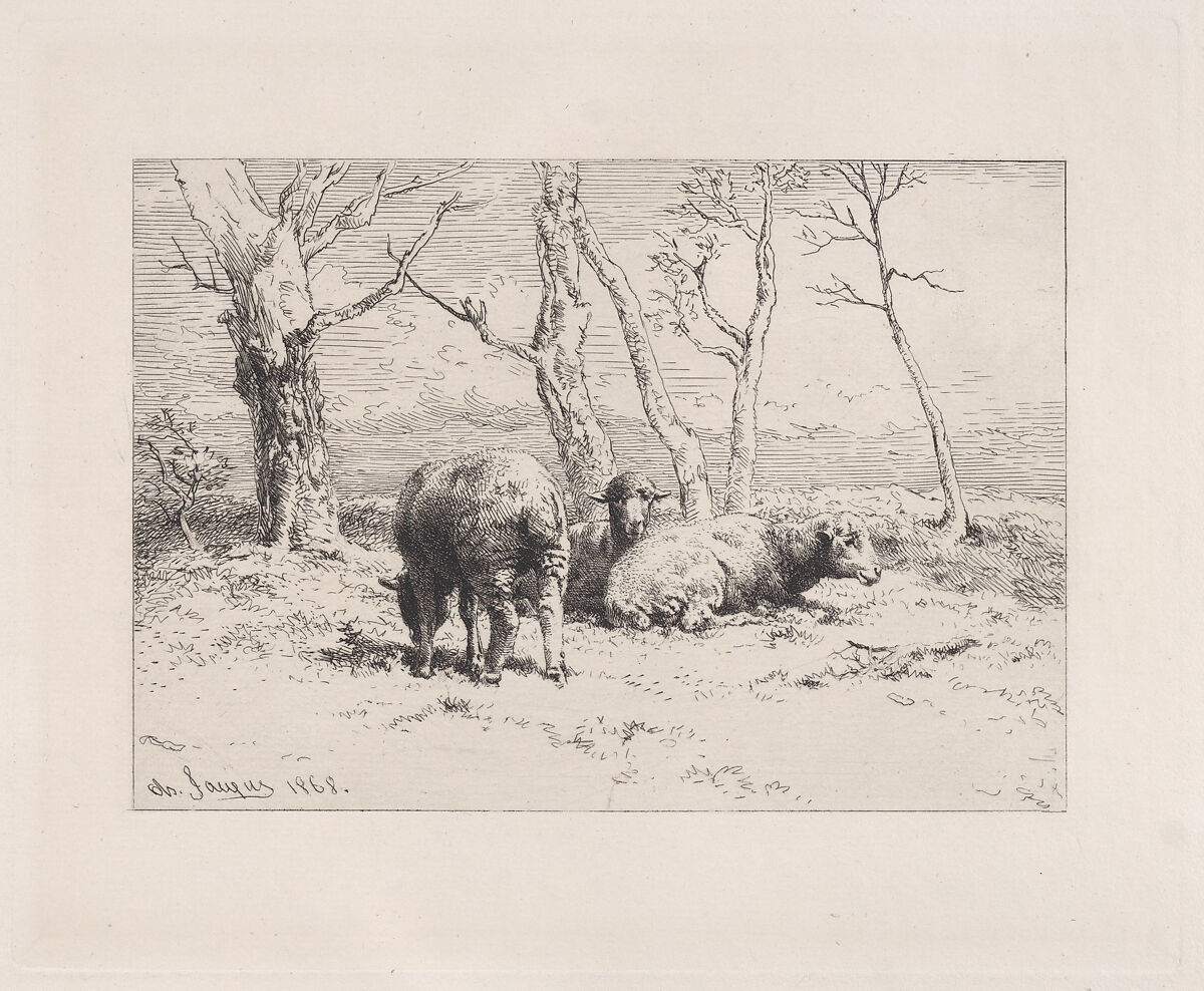 Moutons, Charles Jacque (French, Paris 1813–1894 Paris), Etching 