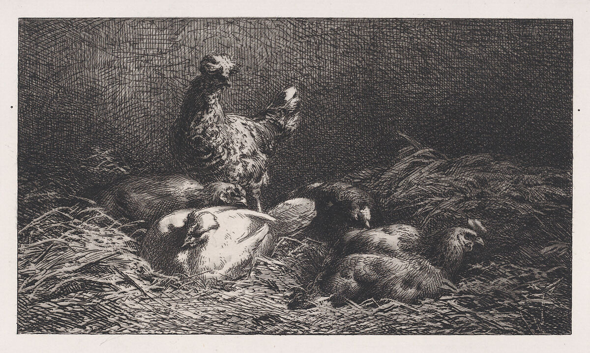 Poules, Charles Jacque (French, Paris 1813–1894 Paris), Drypoint 