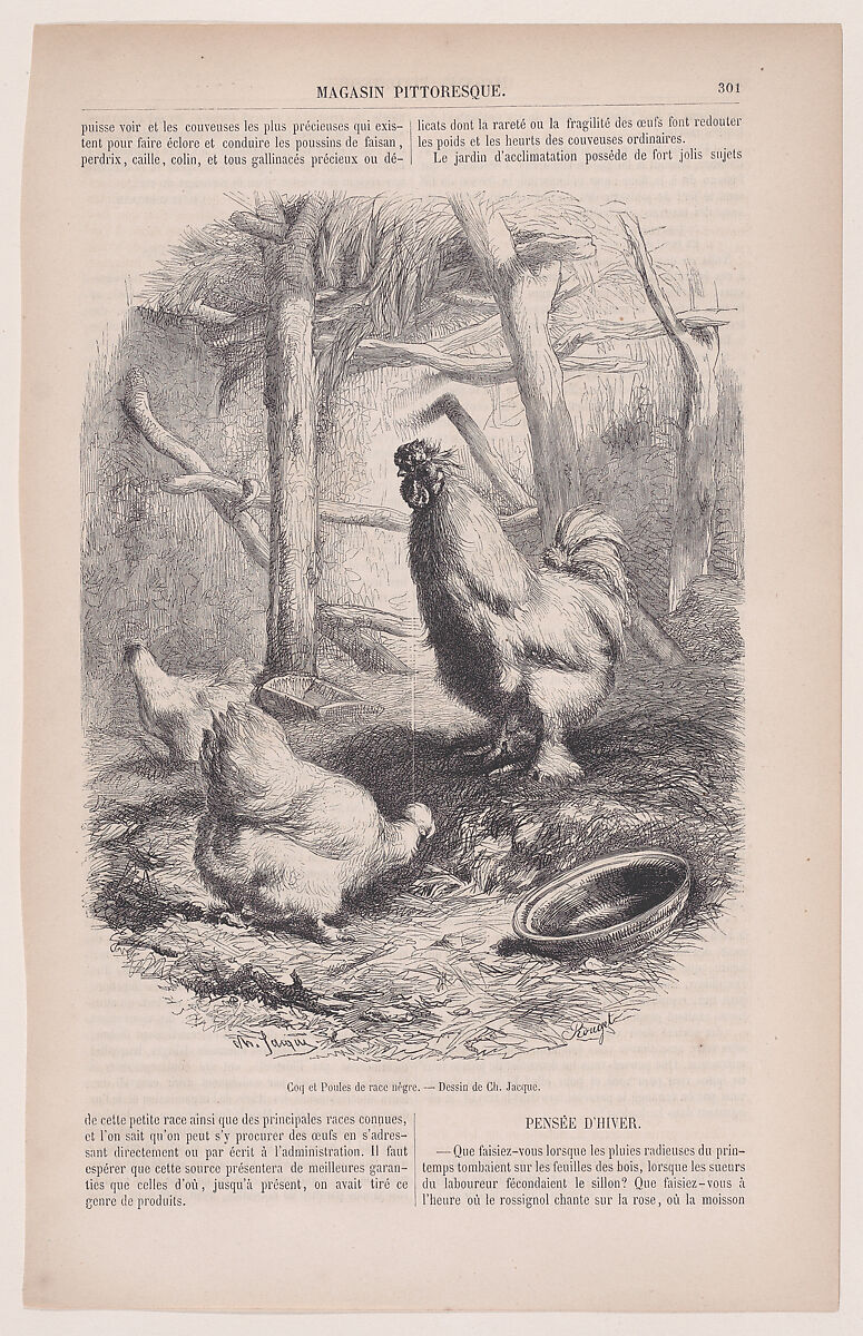 Silkie Cock and Hens, from "Le Magasin Pittoresque", Charles Jacque (French, Paris 1813–1894 Paris), Wood engraving 
