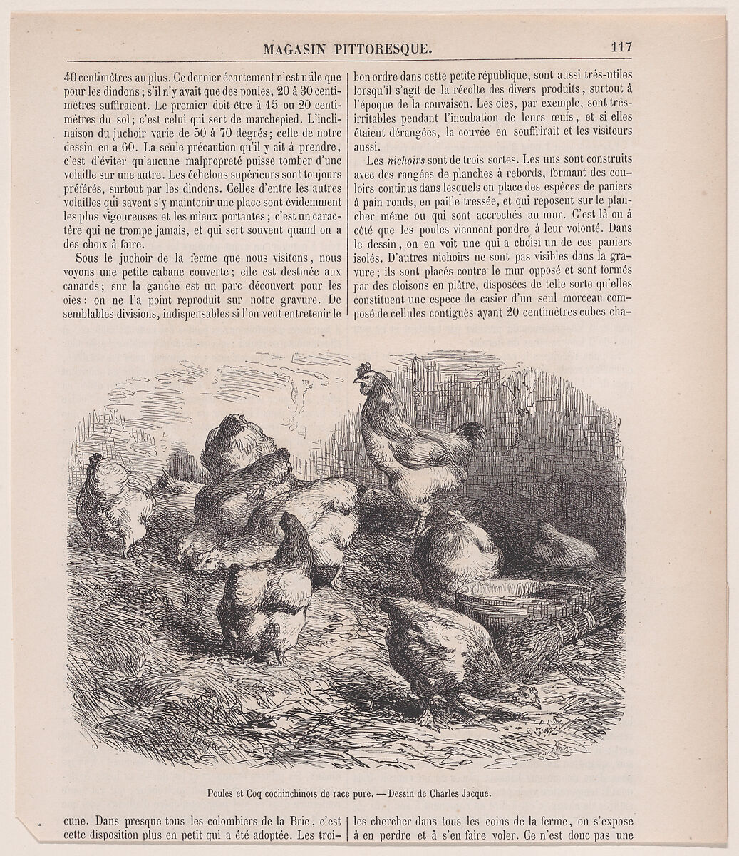 Poules et Coq cochinchinois de race pure; from Magasin Pittoresque, Charles Jacque (French, Paris 1813–1894 Paris), Wood engraving 
