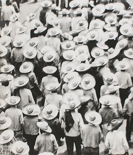 Campesinos
