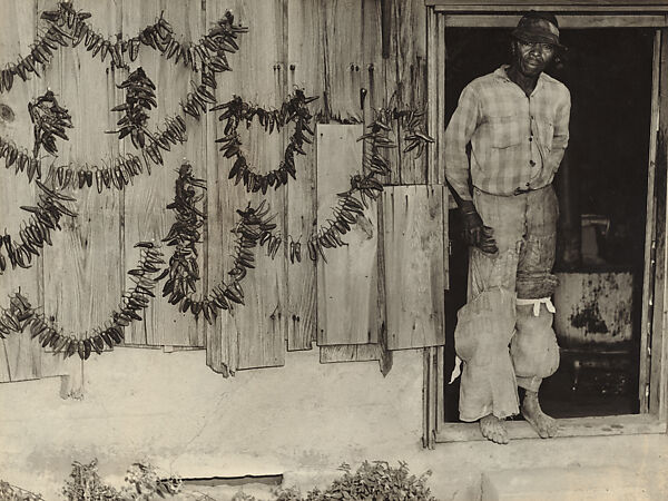 Tobacco Picker, Rocky Mount, North Carolina, Rosalie Gwathmey (American, 1908–2001), gelatin silver print 