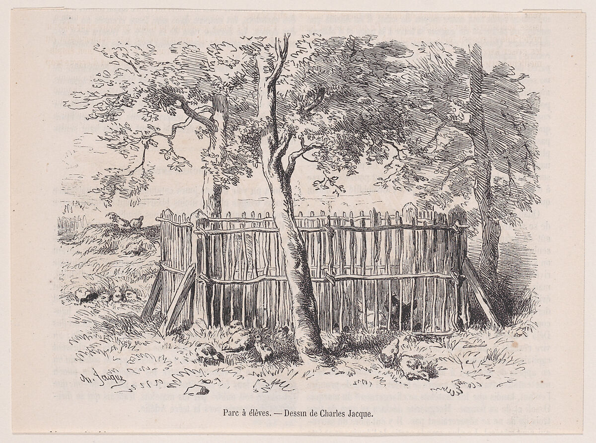Parc à élèves; from Magasin Pittoresque, Charles Jacque (French, Paris 1813–1894 Paris), Wood engraving 