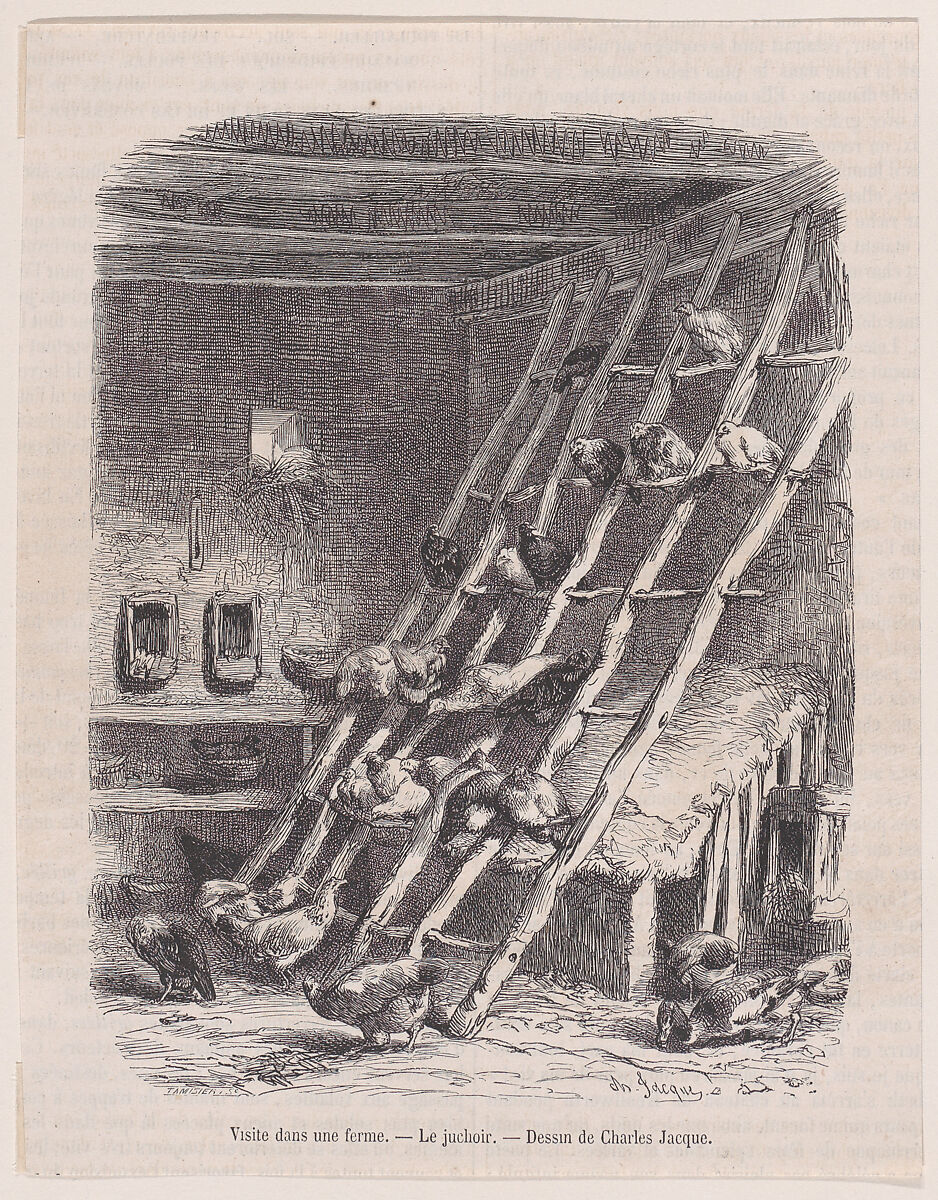 Visit to a Farm — The Roost, from "Le Magasin Pittoresque", Charles Jacque (French, Paris 1813–1894 Paris), Wood engraving 