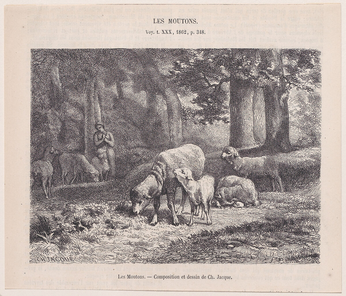 Sheep, from "Le Magasin Pittoresque", Charles Jacque (French, Paris 1813–1894 Paris), Wood engraving 