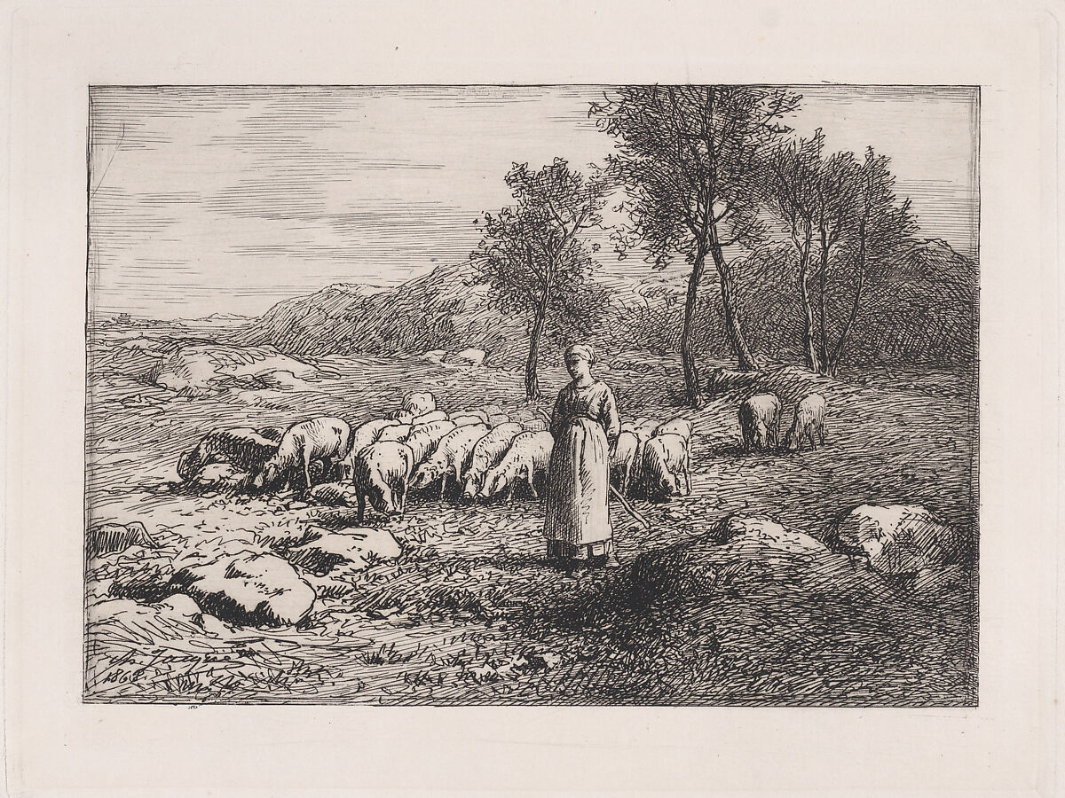 Troupeau de Porcs, Charles Jacque (French, Paris 1813–1894 Paris), Etching and drypoint 