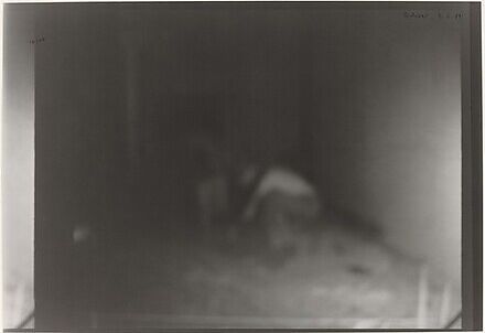 7.5.89 (May 7, 1989)
Six Photos. May 2–7, 1989, Gerhard Richter (German, born Dresden, 1932), Gelatin silver printEd. 12/50 