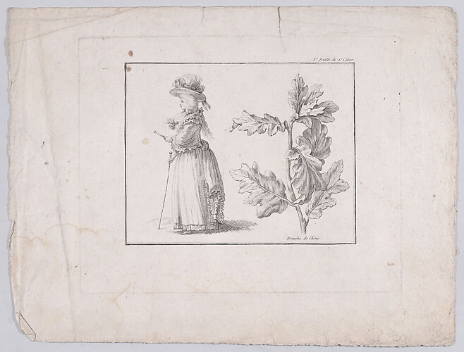 Profile of a woman and a study of an oak branch