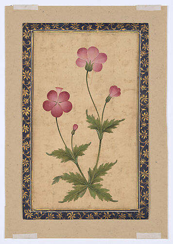 Botanical Painting: Composite Flower