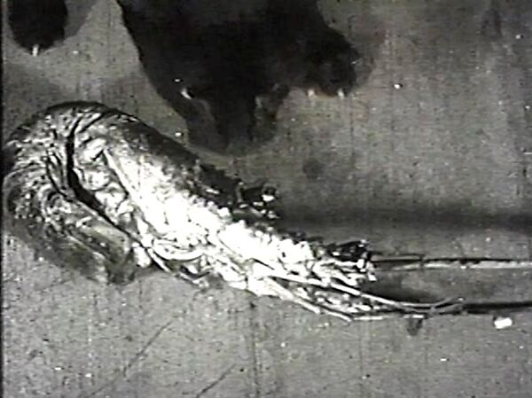 La langosta azul (The Blue Lobster), Cecilia Porras (Colombian, Cartagena 1920–1971 Cartagena), Single-channel digital video, transferred from 16mm film, black-and-white, silent	 