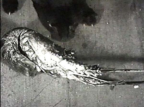 La langosta azul (The Blue Lobster), Cecilia Porras  Colombian, Single-channel digital video, transferred from 16mm film, black-and-white, silent