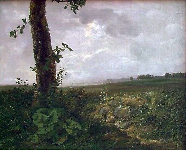 Study of Water and Plants, Thomas Fearnley (Norwegian, Frederikshald 1802–1842 Munich), Oil on paper, laid down on wood