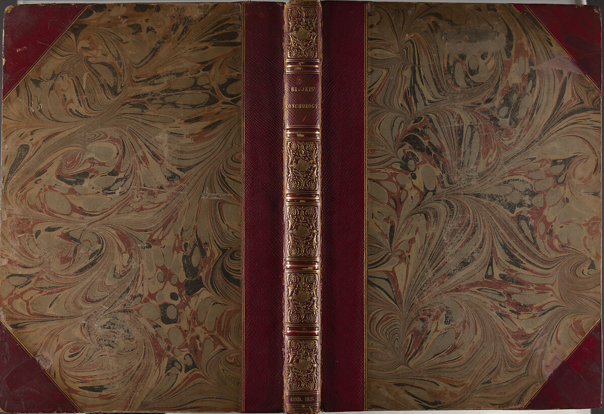 An introduction to the study of conchology : including observations on the Linnæan genera, and the arrangement of M. Lamarck, a glossary, and a table of English names / by Samuel Brookes, Samuel Brookes