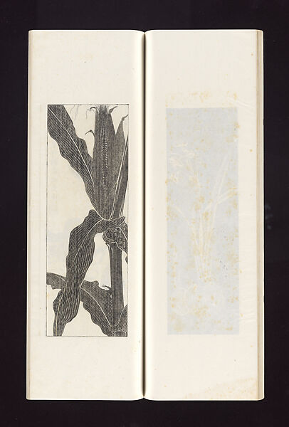 Ink rubbings of bamboo carvings by Jin Xiya, Jin Xiya (Chinese, 1890–1979), Three volumes of rubbings; ink on paper, China