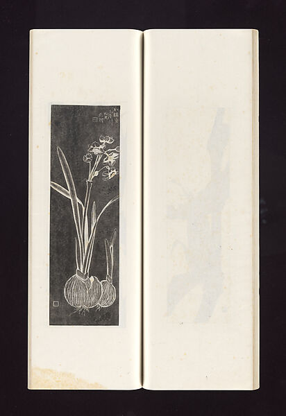 Ink rubbings of bamboo carvings by Jin Xiya, Jin Xiya (Chinese, 1890–1979), Three volumes of rubbings; ink on paper, China