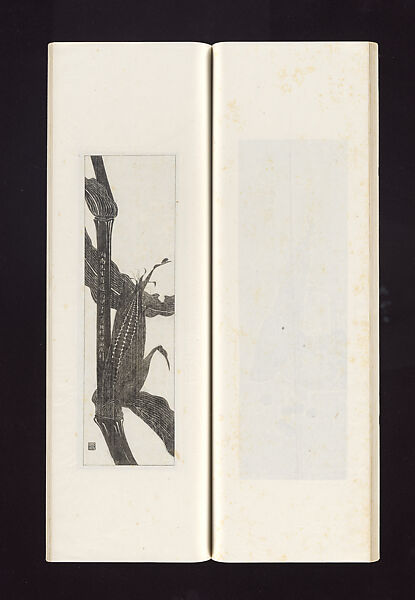 Ink rubbings of bamboo carvings by Jin Xiya, Jin Xiya (Chinese, 1890–1979), Three volumes of rubbings; ink on paper, China