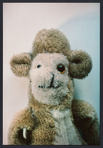 Ahh...Youth!, Mike Kelley (American, Wayne, Michigan 1954–2012 South Pasadena, California), Silver dye bleach prints