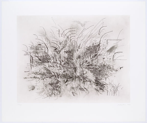 Algorithms / Apparitions / Translations, Julie Mehretu (American, born Addis Ababa, Ethiopia, 1970), Etching with aquatint, spitbite, softground, hardground, drypoint, engraving, and pochoir 