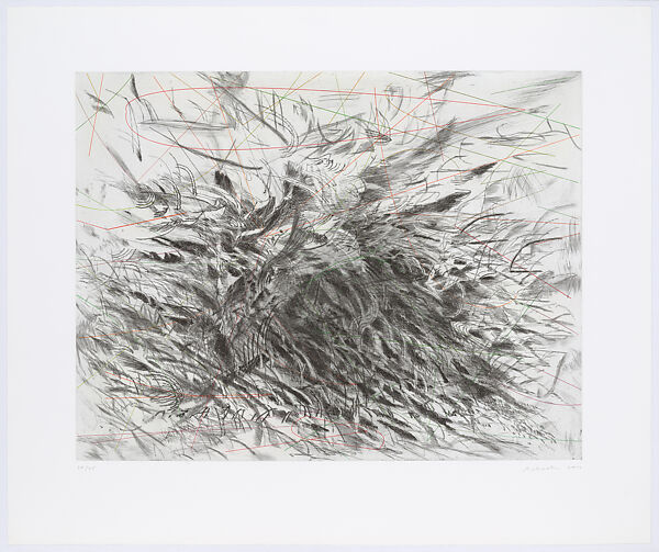 Algorithms / Apparitions / Translations, Julie Mehretu (American, born Addis Ababa, Ethiopia, 1970), Etching with aquatint, spitbite, softground, hardground, drypoint, engraving, and pochoir